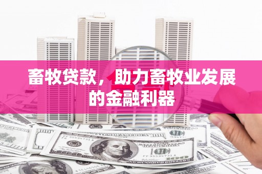 黄骅畜牧贷款，助力畜牧业发展的金融利器