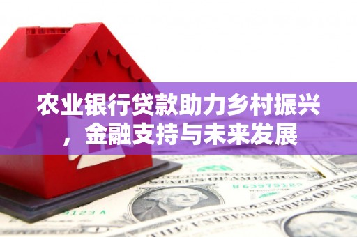 黄骅农业银行贷款助力乡村振兴，金融支持与未来发展