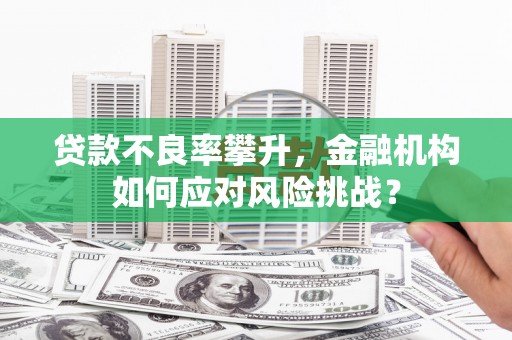 黄骅贷款不良率攀升，金融机构如何应对风险挑战？