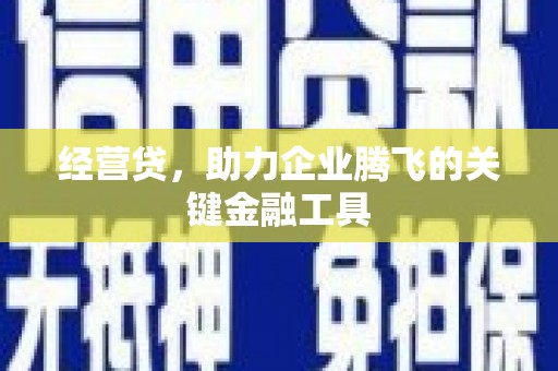 黄骅经营贷，助力企业腾飞的关键金融工具