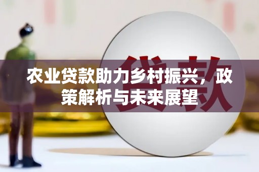黄骅农业贷款助力乡村振兴，政策解析与未来展望