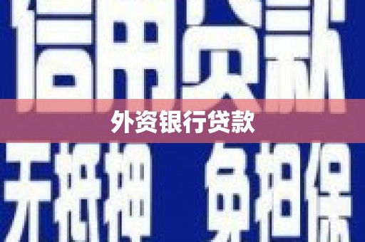 黄骅外资银行贷款