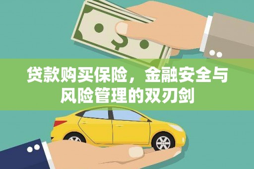 黄骅贷款购买保险，金融安全与风险管理的双刃剑