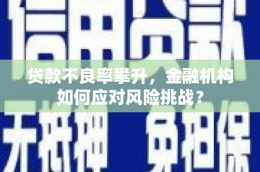 黄骅贷款不良率攀升，金融机构如何应对风险挑战？
