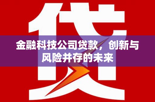 黄骅金融科技公司贷款，创新与风险并存的未来
