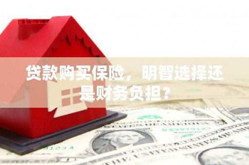 黄骅贷款购买保险，明智选择还是财务负担？