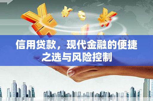 黄骅信用贷款，现代金融的便捷之选与风险控制