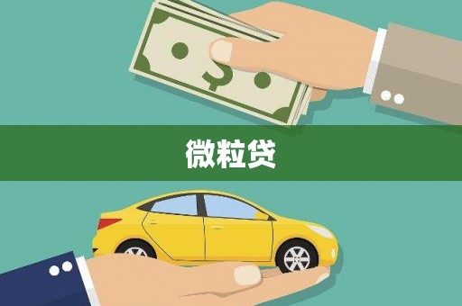 黄骅微粒贷