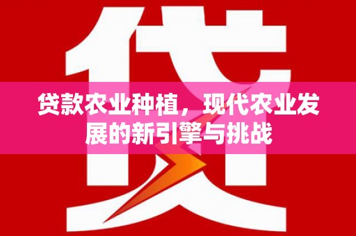 黄骅贷款农业种植，现代农业发展的新引擎与挑战