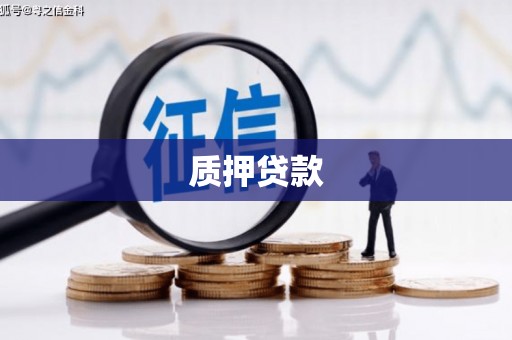 黄骅质押贷款