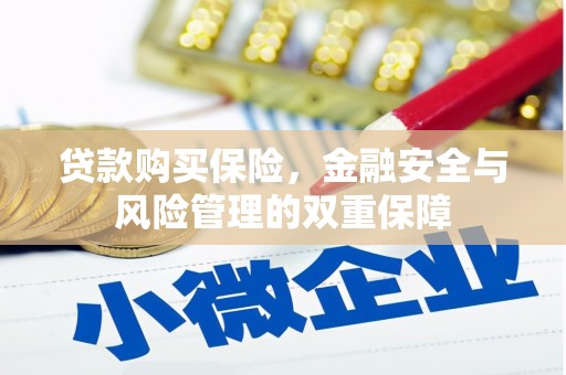 黄骅贷款购买保险，金融安全与风险管理的双重保障