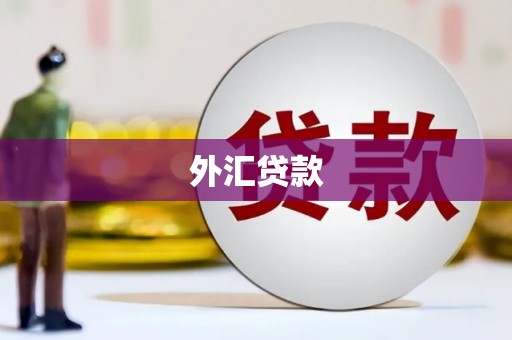 黄骅外汇贷款