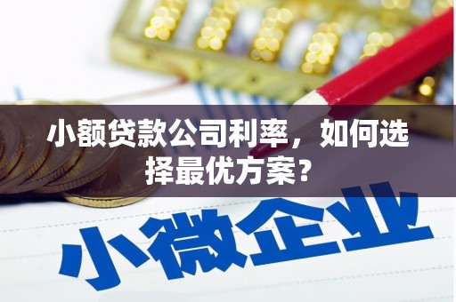 黄骅小额贷款公司利率，如何选择最优方案？