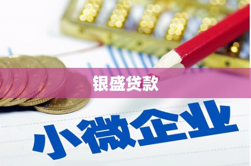 黄骅银盛贷款