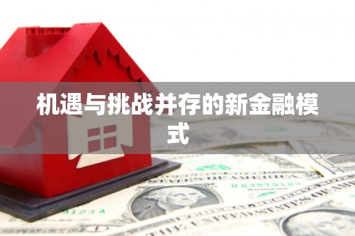黄骅机遇与挑战并存的新金融模式