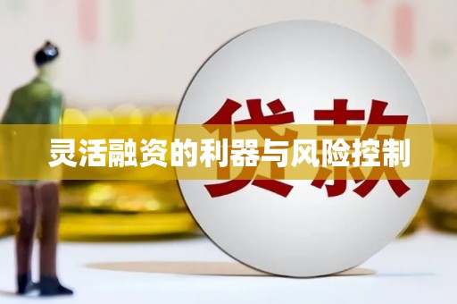 黄骅灵活融资的利器与风险控制