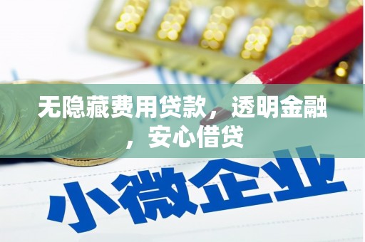 黄骅无隐藏费用贷款，透明金融，安心借贷