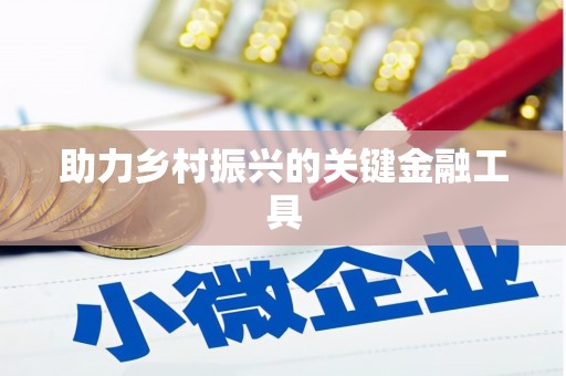 黄骅助力乡村振兴的关键金融工具