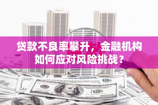 黄骅贷款不良率攀升，金融机构如何应对风险挑战？