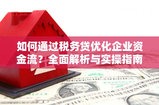 黄骅如何通过税务贷优化企业资金流？全面解析与实操指南