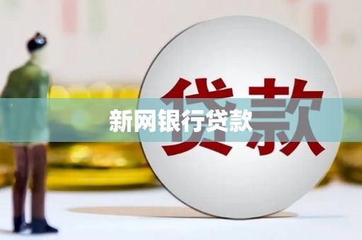 黄骅新网银行贷款