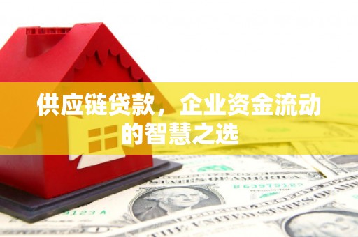 黄骅供应链贷款，企业资金流动的智慧之选