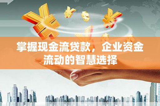黄骅掌握现金流贷款，企业资金流动的智慧选择
