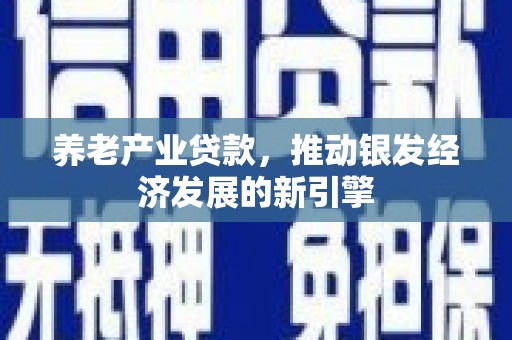 黄骅养老产业贷款，推动银发经济发展的新引擎