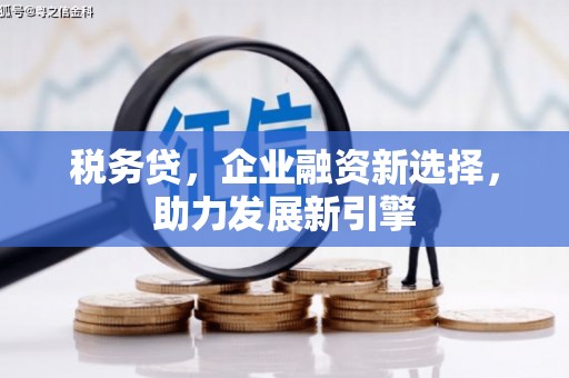黄骅税务贷，企业融资新选择，助力发展新引擎