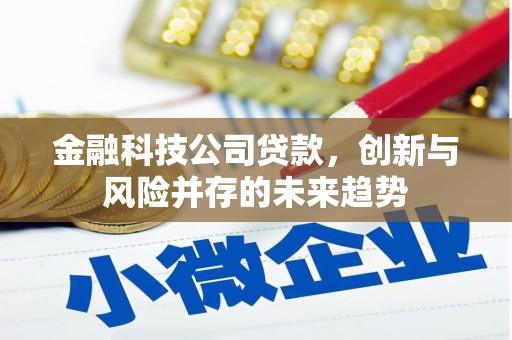 黄骅金融科技公司贷款，创新与风险并存的未来趋势