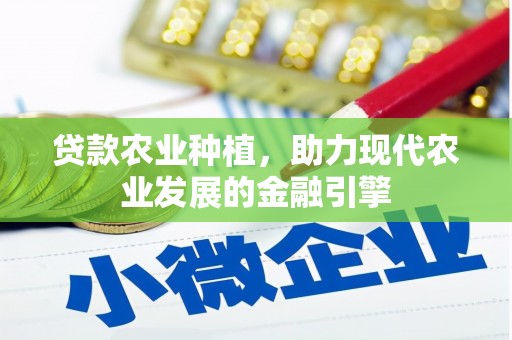 黄骅贷款农业种植，助力现代农业发展的金融引擎