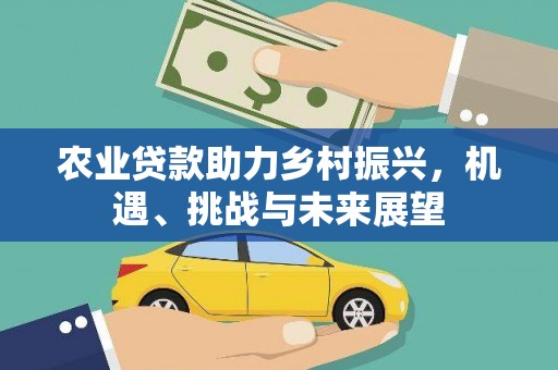 黄骅农业贷款助力乡村振兴，机遇、挑战与未来展望