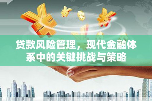 黄骅贷款风险管理，现代金融体系中的关键挑战与策略