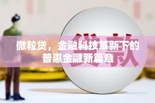 黄骅微粒贷，金融科技革新下的普惠金融新篇章
