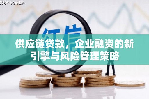 黄骅供应链贷款，企业融资的新引擎与风险管理策略