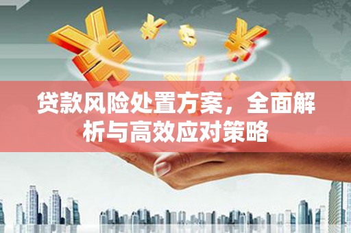 黄骅贷款风险处置方案，全面解析与高效应对策略