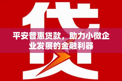 黄骅平安普惠贷款，助力小微企业发展的金融利器
