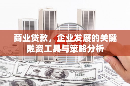 黄骅商业贷款，企业发展的关键融资工具与策略分析