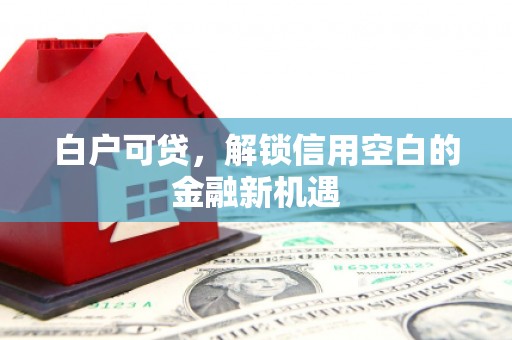黄骅白户可贷，解锁信用空白的金融新机遇
