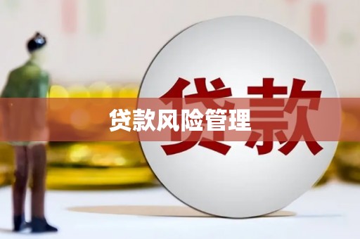 黄骅贷款风险管理