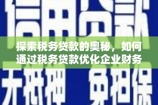 黄骅探索税务贷款的奥秘，如何通过税务贷款优化企业财务