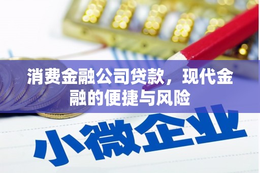 黄骅消费金融公司贷款，现代金融的便捷与风险