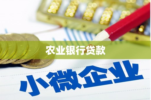 黄骅农业银行贷款