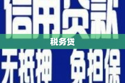 黄骅税务贷