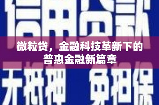 黄骅微粒贷，金融科技革新下的普惠金融新篇章