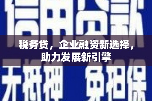 黄骅税务贷，企业融资新选择，助力发展新引擎