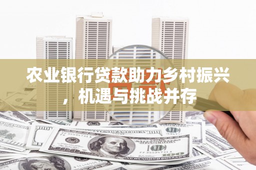 黄骅农业银行贷款助力乡村振兴，机遇与挑战并存