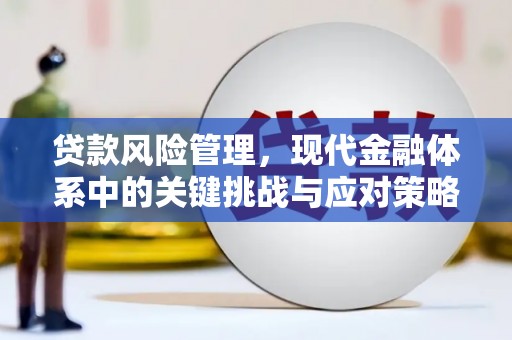 黄骅贷款风险管理，现代金融体系中的关键挑战与应对策略