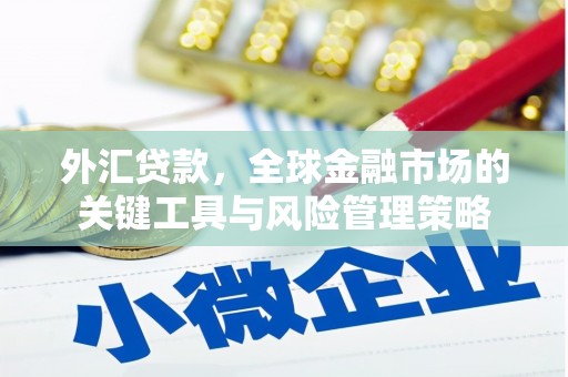 黄骅外汇贷款，全球金融市场的关键工具与风险管理策略