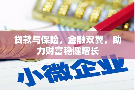黄骅贷款与保险，金融双翼，助力财富稳健增长